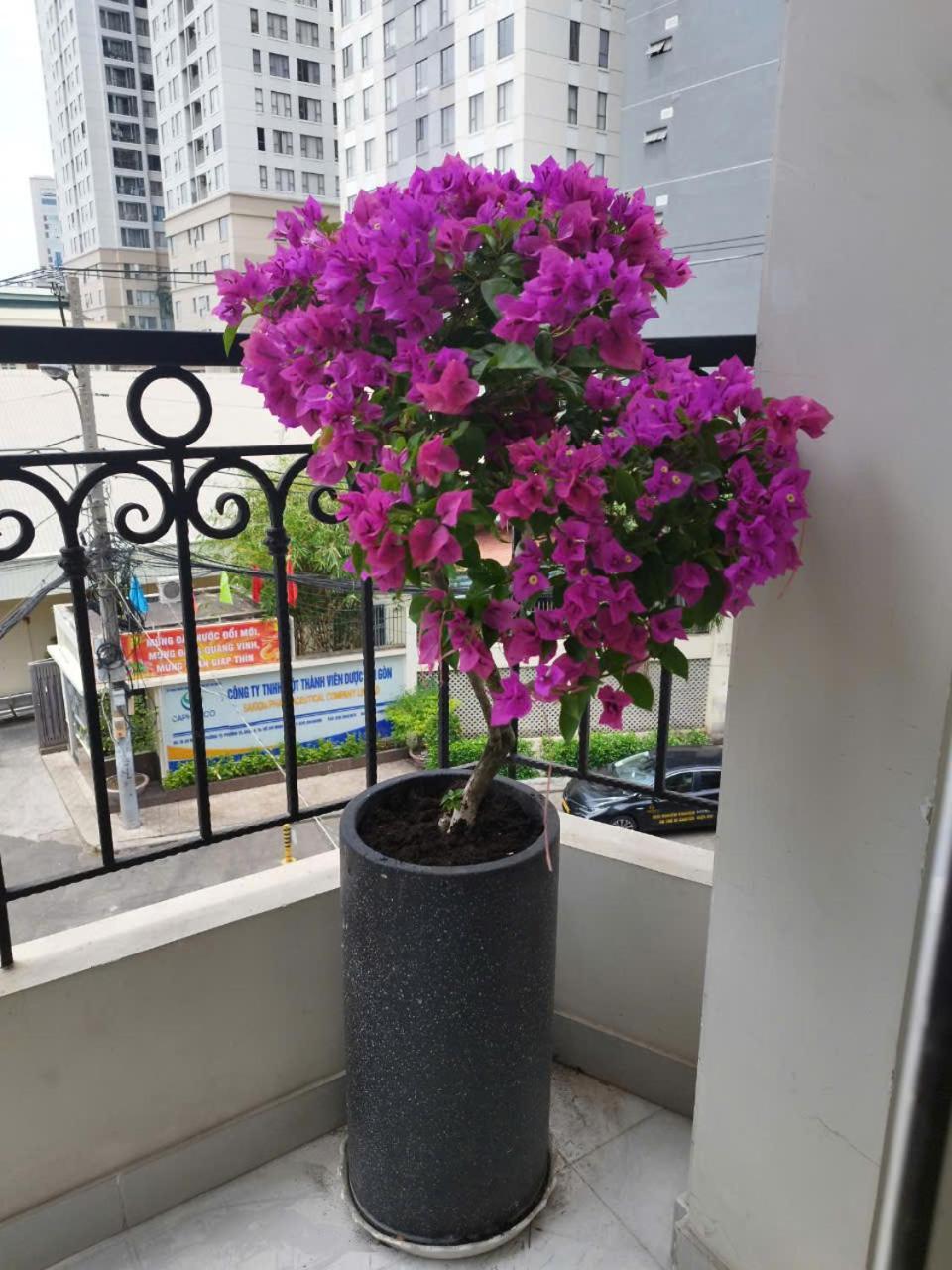 مدينة هوشي منه 7 Apartment المظهر الخارجي الصورة